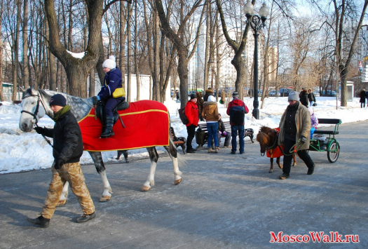 Катание на лошадях в парке Сокольники